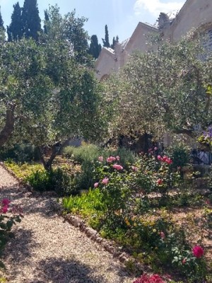 GEORGIA’S PILGRIMAGE TO THE HOLY LAND: part one, Galilee, the Mount of Olives  and the Garden of Gethsemane